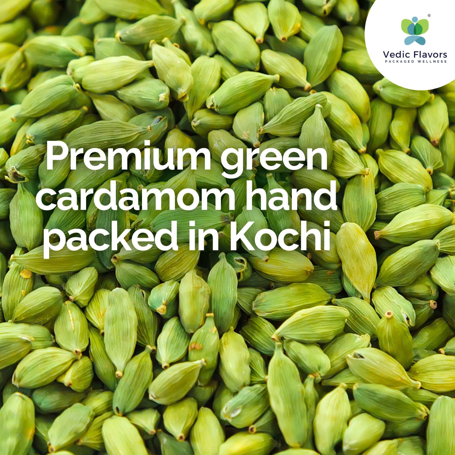 Green Cardamom | Choti Elaichi from Kerala