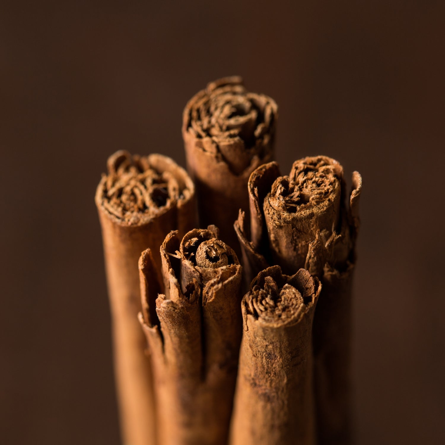 Ceylon Cinnamon (Sri Lankan Dalchini)